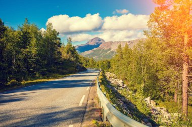 Dağ yolundan. Norveç'in güzel doğa