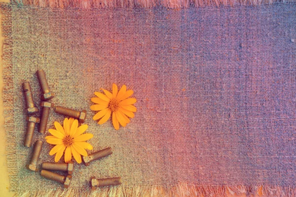 Abstracte Grunge Kleurrijke Achtergrond Metalen Bouten Bloemen Zak — Stockfoto