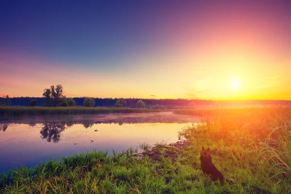 Early Morning Sunrise Lake Misty Morning Rural Landscape Desert Mystical — Stock Photo, Image