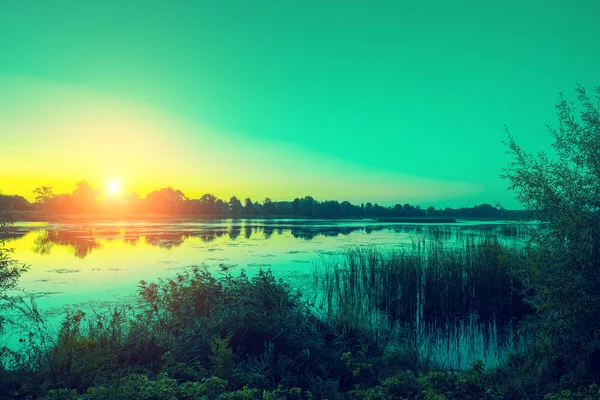 Manhã Cedo Nascer Sol Sobre Lago Uma Manhã Enevoada Uma — Fotografia de Stock