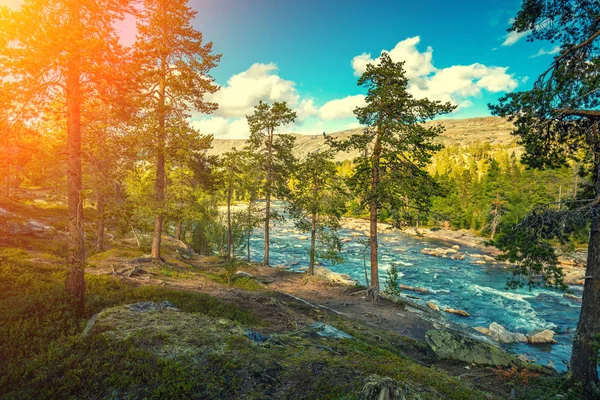 Fiume Montagna Serata Bella Natura Della Norvegia — Foto Stock