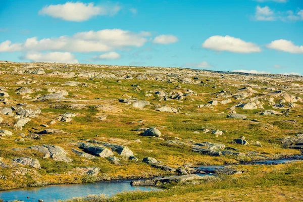 Nature Sauvage Arctique Toundra Paysage Minimaliste Belle Nature Norvège — Photo