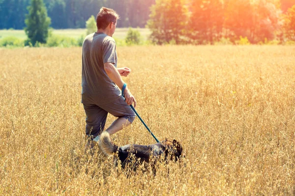 夏燕麦の畑で実行されているひもにつないで犬を持つ男 — ストック写真