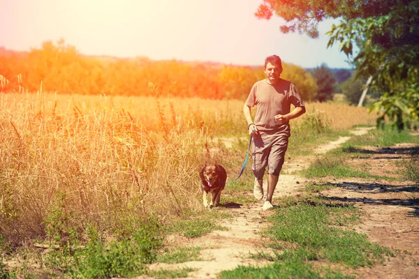 一个带着狗拴在皮带上的男人沿着一条乡村小路走到麦田附近 — 图库照片