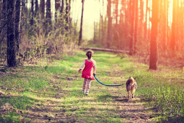 小女孩与狗走在森林里的道路上回到相机 — 图库照片