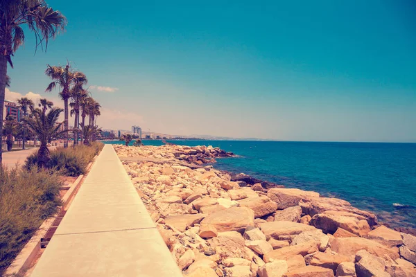 Praia Rochosa Manhã Verão Empilhadeiras Limassol Chipre — Fotografia de Stock
