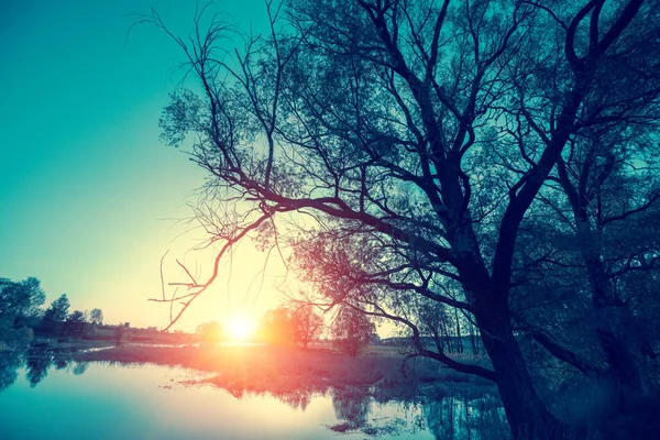 Manhã Cedo Nascer Sol Sobre Lago Paisagem Rural Natureza Selvagem — Fotografia de Stock