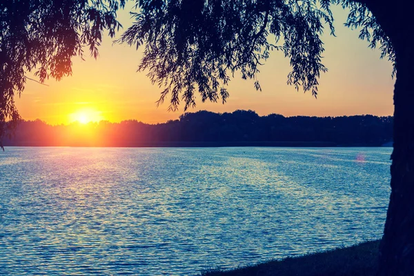 Lakeshore Trees Sunset Beautiful Nature Finland — Stock Photo, Image