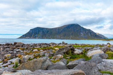 Güzel vahşi, kayalık plaj, fiyort görünümünü. Lofoten Adaları, Norveç.