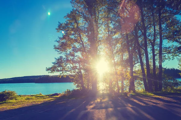 Lakeshore Com Árvores Pôr Sol Bela Natureza Finlândia — Fotografia de Stock