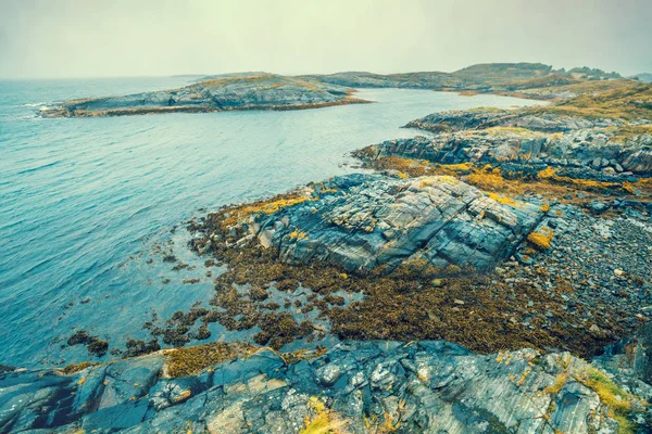 岩の多いビーチ 霧の深い朝の大西洋海岸 海海岸 美しい荒野ノルウェー — ストック写真