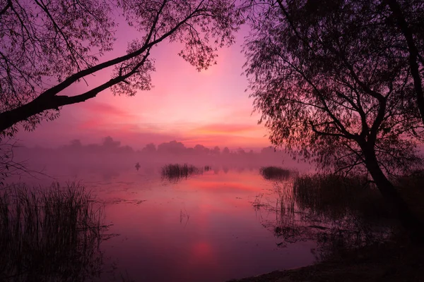 湖の夜明け 霧の深い朝 農村風景 神秘的な感じ — ストック写真
