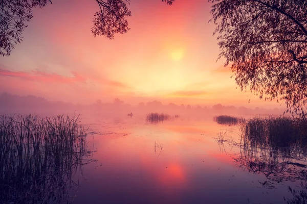 Early Morning Dawn Lake Misty Morning Rural Landscape Wilderness Mystical — Stock Photo, Image
