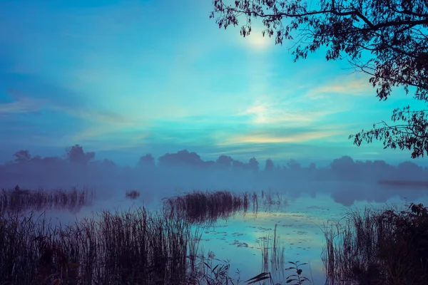 Tôt Matin Aube Dessus Lac Matin Brumeux Paysage Rural Nature — Photo