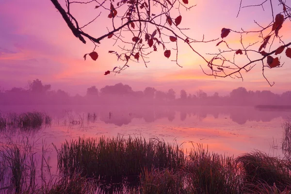 Manhã Cedo Amanhecer Sobre Lago Misty Manhã Paisagem Rural Deserto — Fotografia de Stock