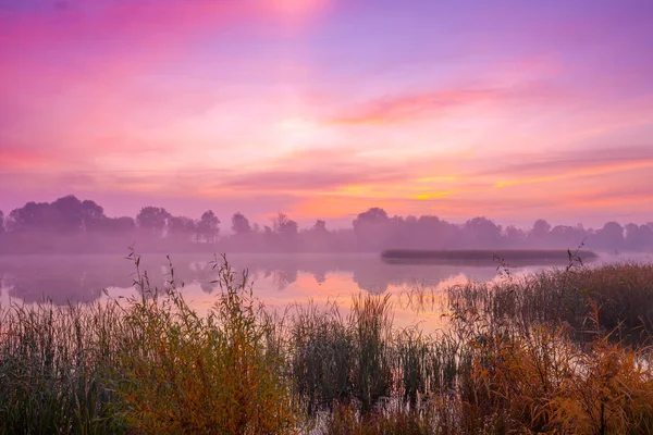 Wcześnie Rano Świt Nad Jeziorem Mgliste Rano Krajobrazu Wiejskiego Bezdroża — Zdjęcie stockowe