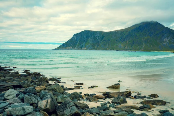 Pięknej Pustyni Skalistej Plaży Widok Fiord Lofoty Norwegia — Zdjęcie stockowe