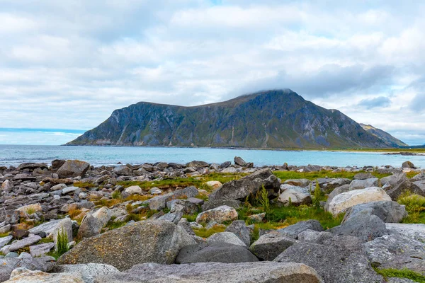 Güzel vahşi, kayalık plaj, fiyort görünümünü. Lofoten Adaları, Norveç.