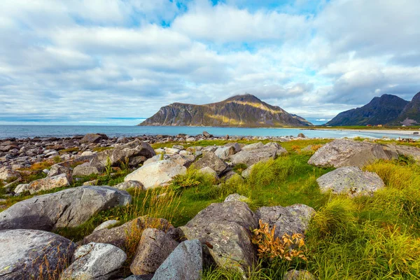 美しい大自然 岩の多いビーチ フィヨルドの景色を ノルウェーのロフォーテン諸島 — ストック写真