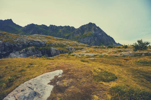 Berglandschaft Norden Schöne Wildnis Blick Auf Den Fjord Lofoten Norwegen — Stockfoto