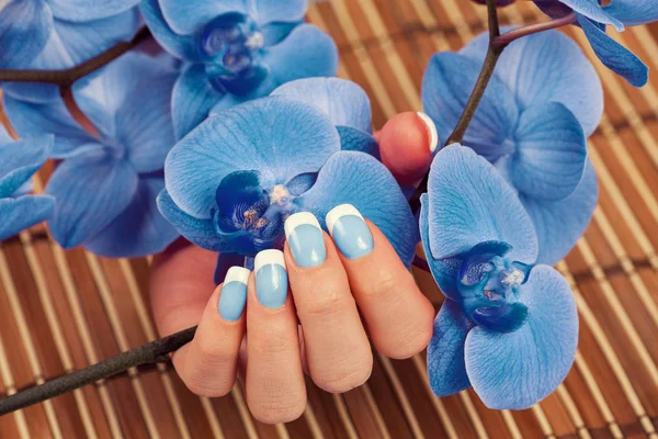 Mooie Vrouwelijke Hand Met French Manicure Blauwe Orchidee Bloemen — Stockfoto