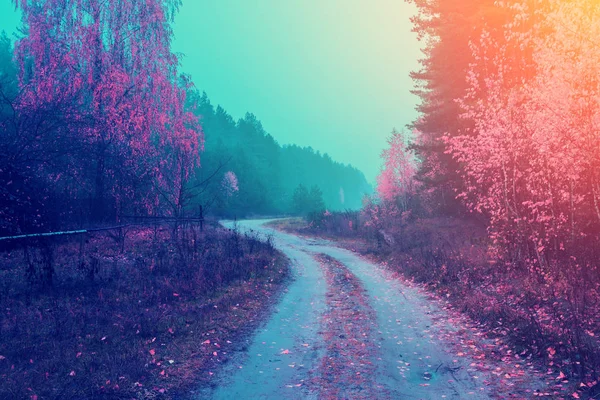 Αγροτική Φθινοπωρινό Τοπίο Misty Πρωί Χωματόδρομο Ανάμεσα Δάσος — Φωτογραφία Αρχείου