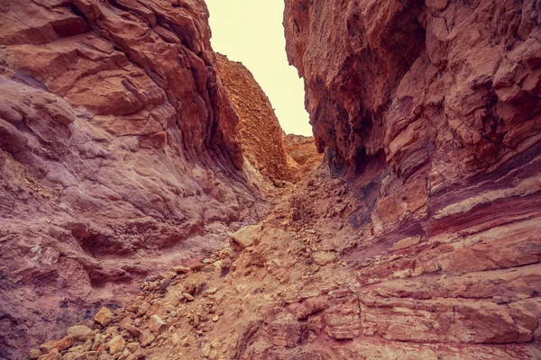 Κόκκινο Φαράγγι Στην Έρημο — Φωτογραφία Αρχείου