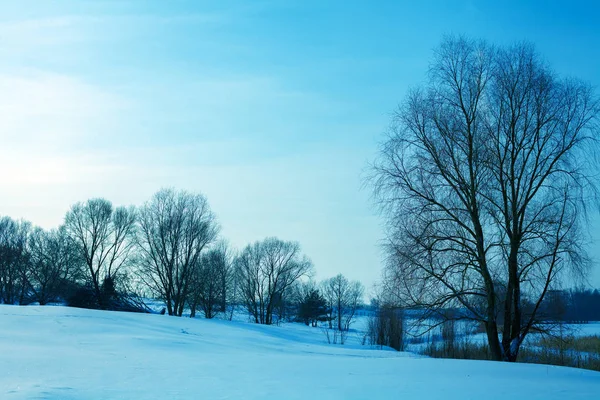 Rural Winter Snowy Landscape Blue Colored — Stock Photo, Image