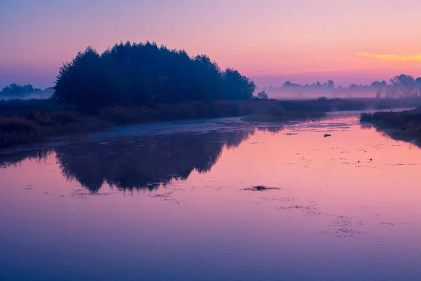 Sabah Şafak Göl Üzerinde Puslu Sabah Kırsal Manzara Vahşi Mistik — Stok fotoğraf