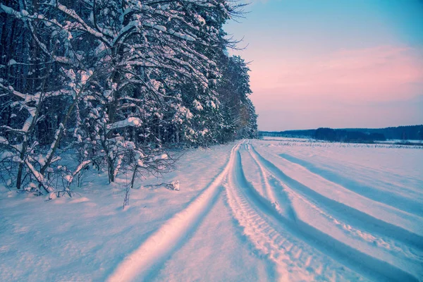 Kış Manzarası Orman Boyunca Karla Kaplı Yol — Stok fotoğraf