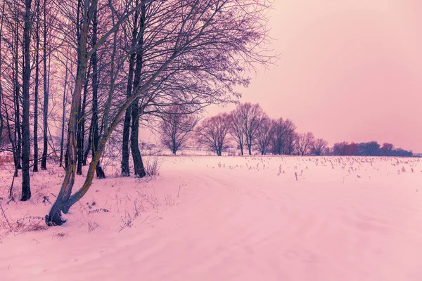 Зимний Пейзаж Рассвете Снежное Поле Деревьями — стоковое фото