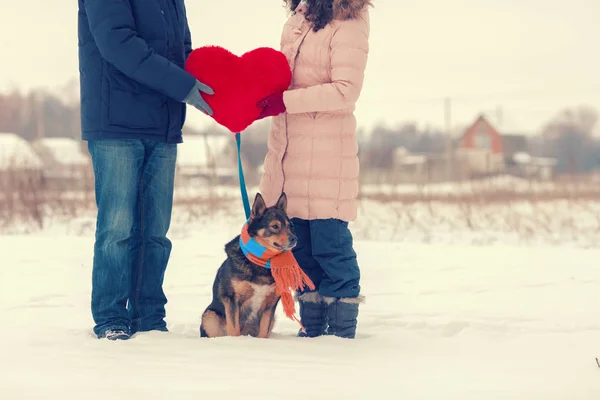 年轻夫妇抱着大红色的心与狗穿着围巾在雪地上的领域 — 图库照片