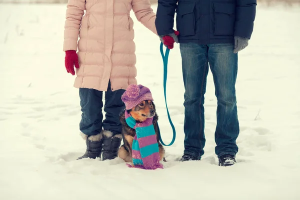 부부는 스카프와 모자를 강아지와 — 스톡 사진