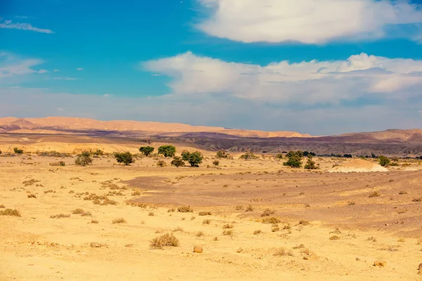 Paisagem Deserto Com Céu Azul — Fotografia de Stock