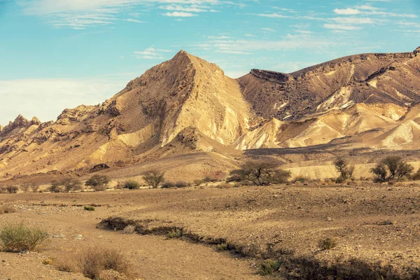 Góry Krajobraz Pustyni Negew Izrael — Zdjęcie stockowe