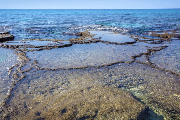 Skalnaté Pobřeží Roš Nikra Moře Rezerva Izrael — Stock fotografie