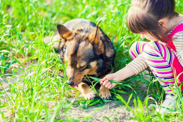 Küçük Kız Çimlerin Üzerinde Köpekle Oynuyor — Stok fotoğraf