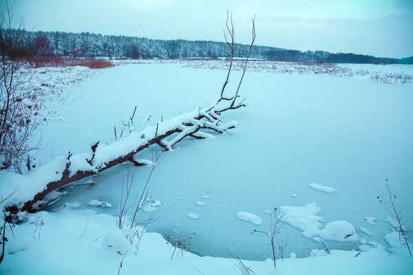 Karlı Kırsal Manzara Donmuş Göle Düşmüş Ağaç Kış Lakeshore Kış — Stok fotoğraf