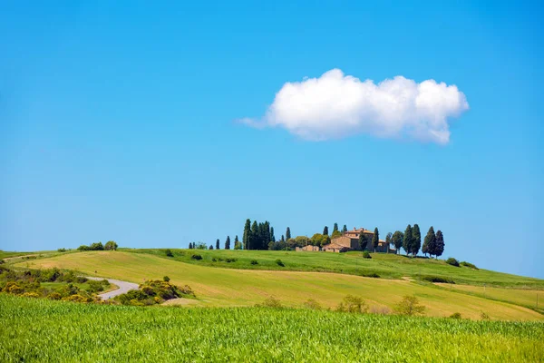 Krásná Příroda Itálie Toskánsko Krajina Jaře — Stock fotografie