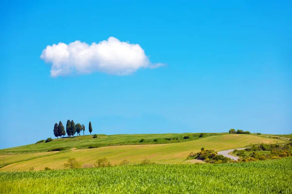 Malebná Krajina Toskánska Jarní Příroda Modrá Obloha Krásné Jeden Cloud — Stock fotografie