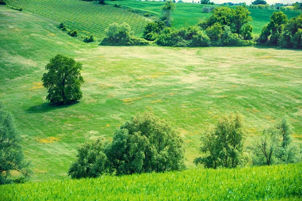 Krásná Krajina Jarní Příroda Prosluněné Louky Zvlněných Kopcích Toskánsku Itálie — Stock fotografie