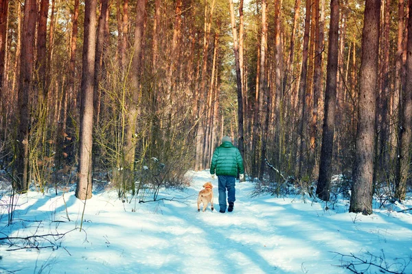 一个带着拉布拉多猎犬狗的人在冰雪覆盖的公路上漫步在冬日森林里 回到镜头前 — 图库照片