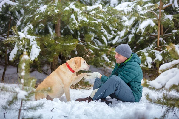 A happy smiling man and a dog - best friends, sitting in a snowy winter forest. Trained dog labrador retriever extends the paw to the man. The man and the dog look at each other
