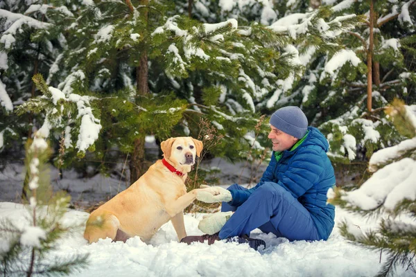 Uomo Sorridente Felice Cane Migliori Amici Seduti Una Foresta Invernale — Foto Stock