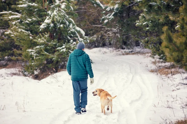 Man Dog Walking Snowy Pine Forest Winter Back Camera — Stock Photo, Image