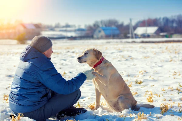 Inverno Homem Cão Sentam Campo Neve Perto Aldeia Cão Labrador — Fotografia de Stock