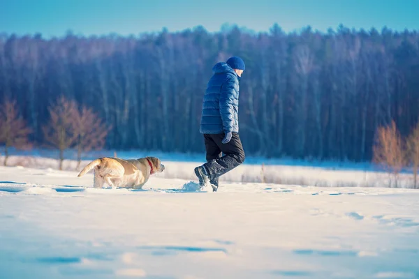 Man Med Labrador Retriever Hund Går Över Ett Fält Täckt — Stockfoto