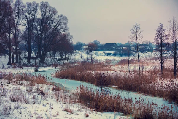 Beau Paysage Rural Hiver Ruisseau Gelé — Photo