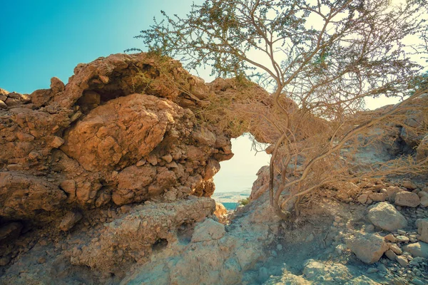 Στο Sandstone Arch Ein Gedi Nature Reserve Ισραήλ — Φωτογραφία Αρχείου