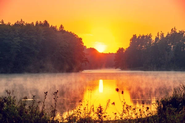 Волшебный Восход Солнца Над Озером Прекрасным Отражением Воде Спокойное Озеро — стоковое фото
